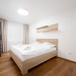 Krkonošský šarm Aparthotel Horejsi Vrchlabi