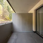 Krkonošský šarm Aparthotel Horejsi Vrchlabi